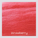 Merino Wool Sliver – 35 Colours | 30g