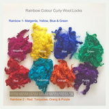 Wool Locks - Rainbow colours curly wool locks