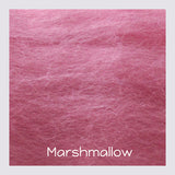 30+ colours Merino Wool Sliver - 20 grams