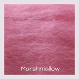 30+ colours Merino Wool Sliver - 20 grams