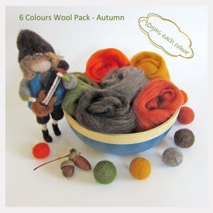 NZ felting wool pack - 6 colours (Autumn)